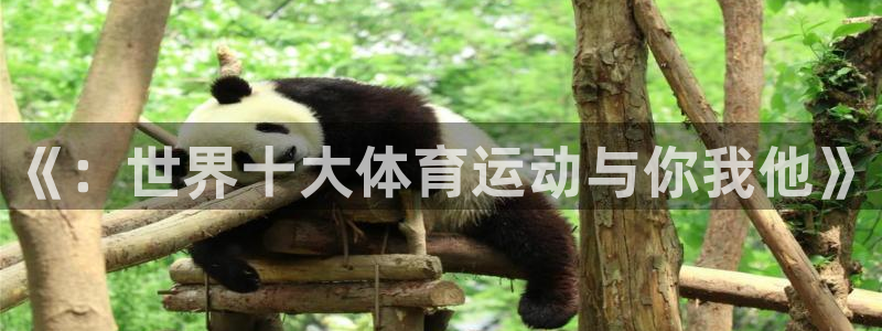 利记官网下载平台注册要钱吗安全吗：《：世界十大体育运
