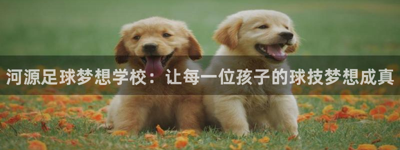 利记官网下载开户：河源足球梦想学校：让每一位孩子的球