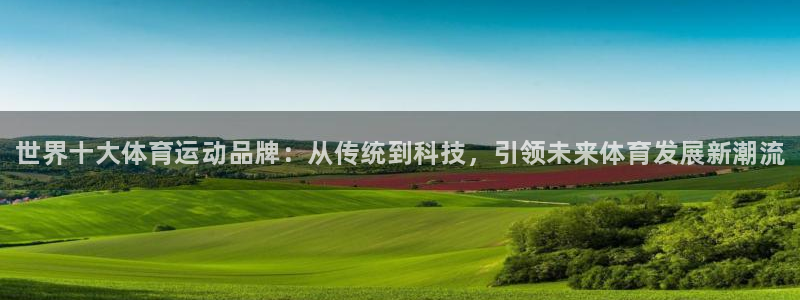 利记官网下载平台注册要钱吗是真的吗：世界十大体育运动