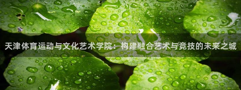 海南利记官网下载：天津体育运动与文化艺术学院：构建融合艺术与