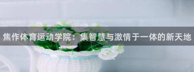 利记官方正版app娱乐首页官网下载：焦作体育运动学院