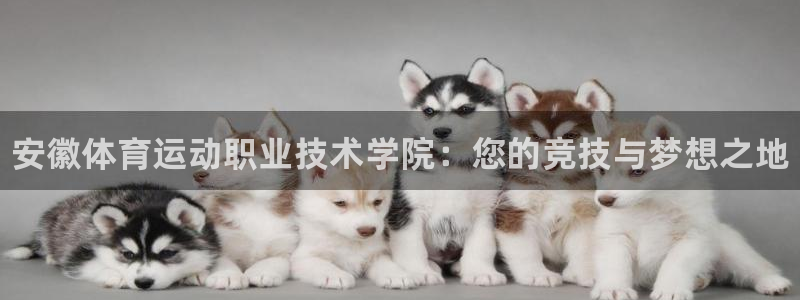 利记官方正版app新能源：安徽体育运动职业技术学院：