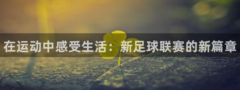 利记官方正版app新能源：在运动中感受生活：新足球联