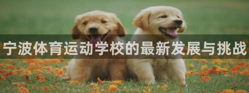 利记官网下载招商电话号码是多少啊：宁波体育运动学校的