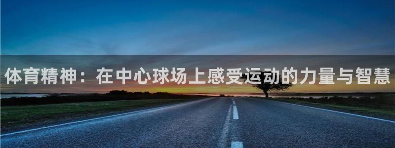 利记官方集团官网：体育精神：在中心球场上感受运动的力