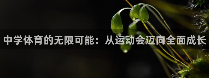 利记官网下载平台假的吗是真的吗吗：中学体育的无限可能