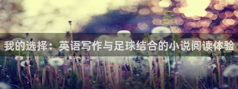 利记官方正版app娱乐代理怎么样：我的选择：英语写作