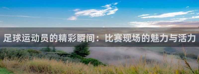利记官网下载招商电话地址：足球运动员的精彩瞬间：比赛