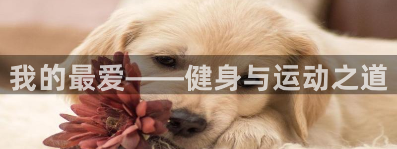 利记官网下载招商电话是多少号码：我的最爱——健身与运