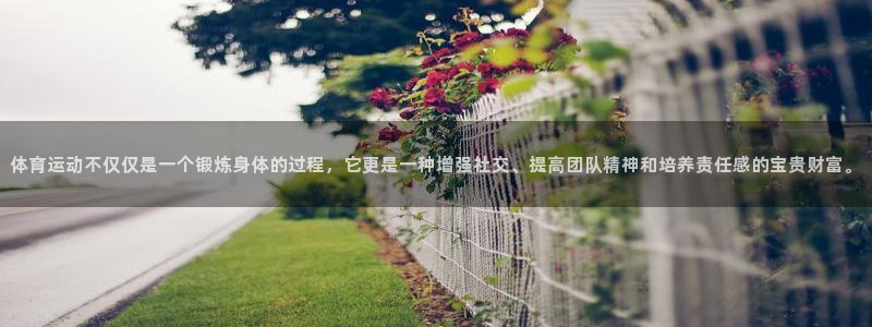 利记官网下载平台是正规平台吗安全吗：体育运动不仅仅是