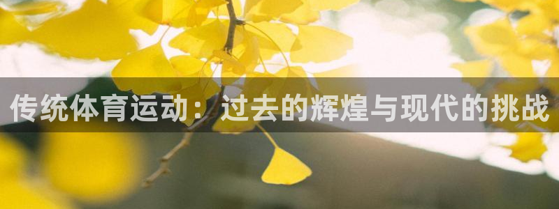 利记官方正版app娱乐：传统体育运动：过去的辉煌与现