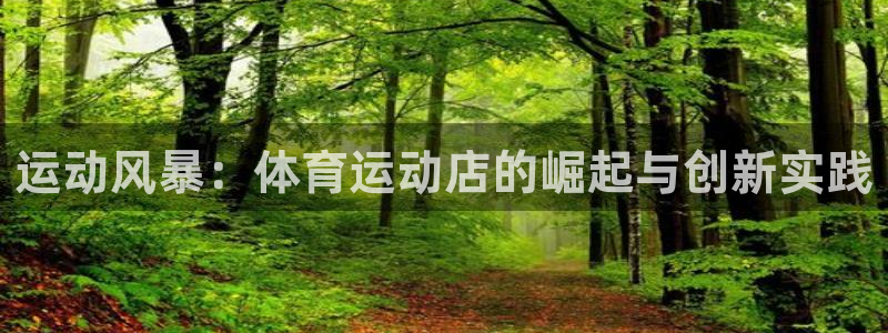 利记官方正版app娱乐下载：运动风暴：体育运动店的崛