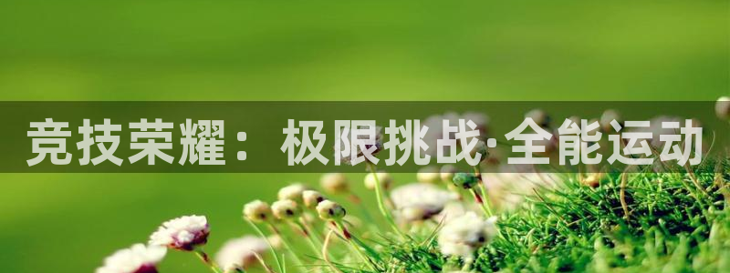 利记官网下载平台是正规平台吗：竞技荣耀：极限挑战·全