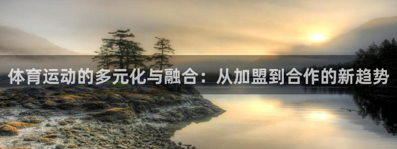 利记官网下载软件：体育运动的多元化与融合：从加盟到合