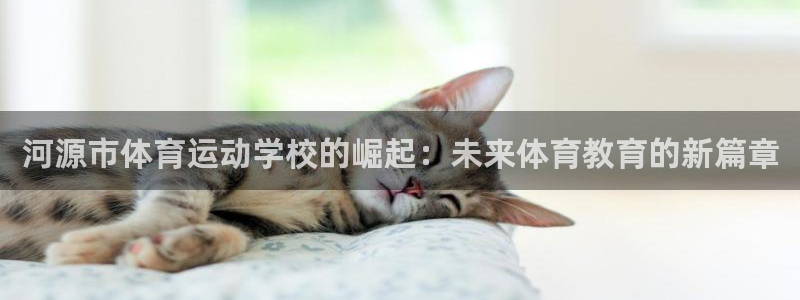 利记官方正版app娱乐代理怎么样：河源市体育运动学校