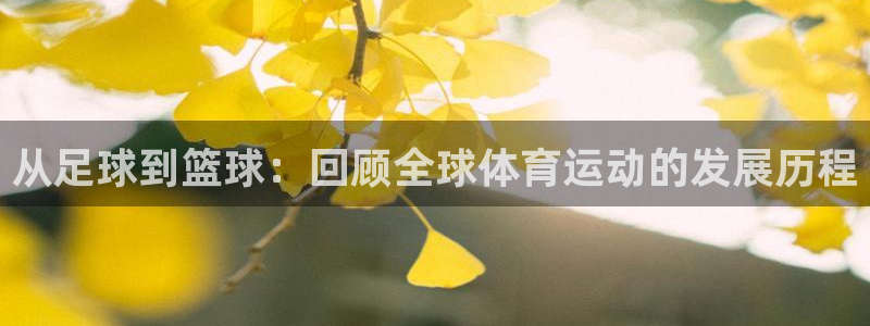 利记官网下载平台假的吗是真的吗吗：从足球到篮球：回顾