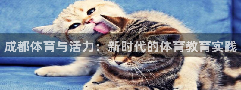 利记官网下载平台：成都体育与活力：新时代的体育教育实践