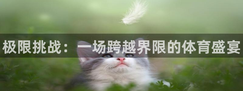 利记官网下载平台是正规平台吗知乎：极限挑战：一场跨越界限的体