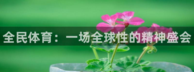 利记官网下载招商电话：全民体育：一场全球性的精神盛会