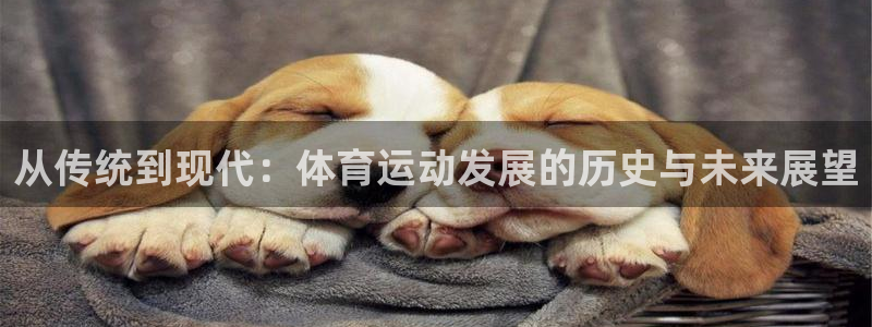 海南利记官网下载：从传统到现代：体育运动发展的历史与未来展望