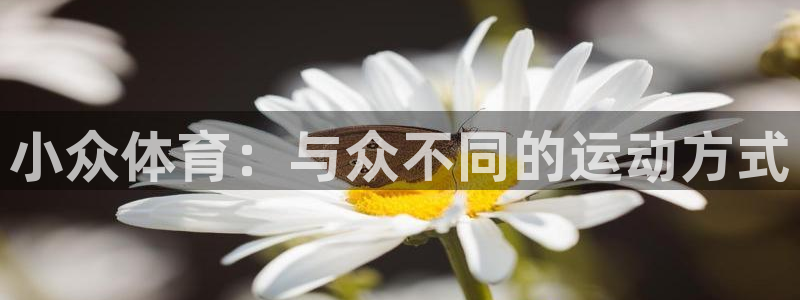 利记官网下载平台注册：小众体育：与众不同的运动方式