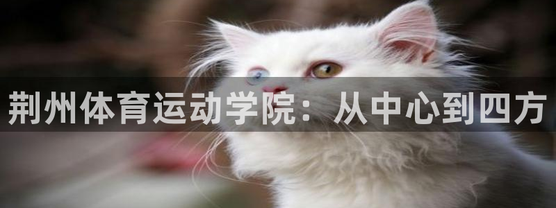 利记官方正版app集团E.ON：荆州体育运动学院：从