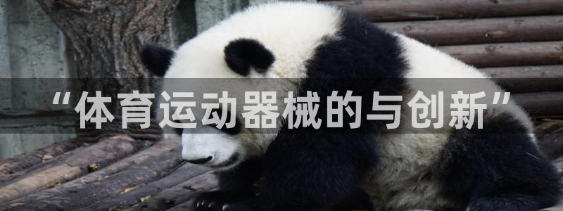 利记官网下载平台注册流程图：“体育运动器械的与创新”