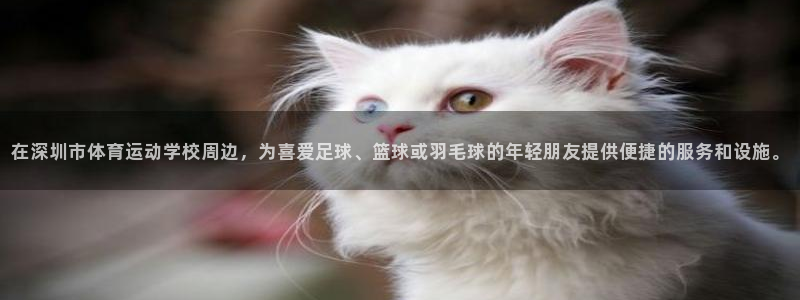 利记官方正版app娱乐代理怎么样：在深圳市体育运动学校周边，