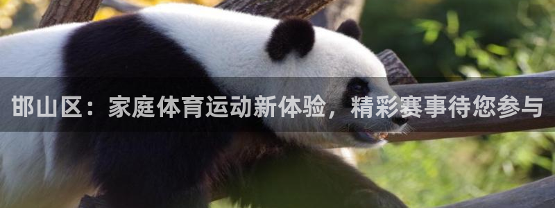利记官网登录入口