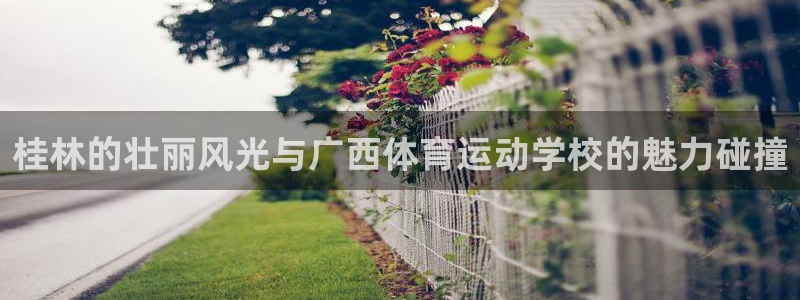利记app官网(中国)官方网站