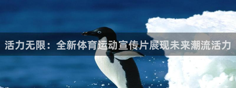 利记SBO是合法的吗：活力无限：全新