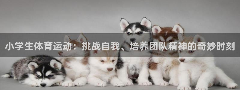 利记SBOBET官方网站：小学生体育运动：挑战自我、培养团队