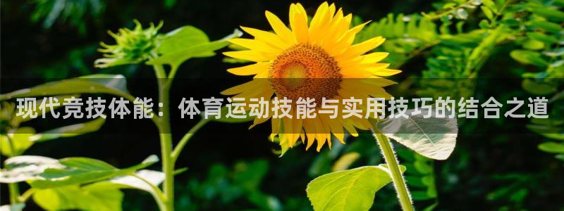 利记官网平台：现代竞技体能：体育运动