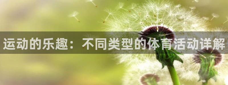  利记坊官网：运动的乐趣：不同类型的体育活动详解