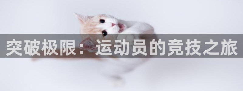  利记sbobe官网：突破极限：运动员的竞技之旅