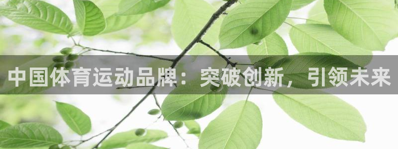 利记sbo：中国体育运动品牌：突破创新，引领未来