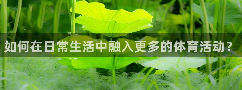 利记轮渡：如何在日常生活中融入更多的