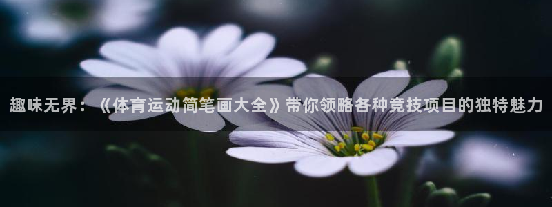 利记农庄电话：趣味无界：《体育运动简