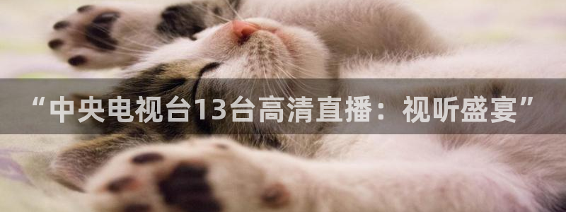 说球帝体育足球篮球五大联赛24小时实时直播：“中央电视台13台高清直播：视听盛宴”